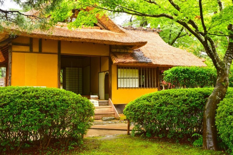 🍵 린카쿠 (차실) 이미지 1